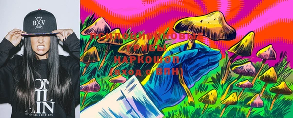 бошки Новодвинск