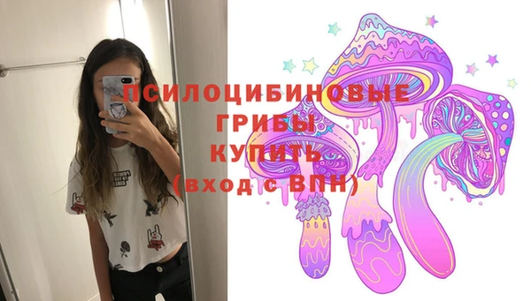 бошки Новодвинск