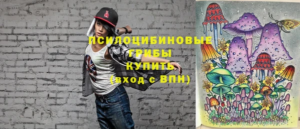 бошки Новодвинск
