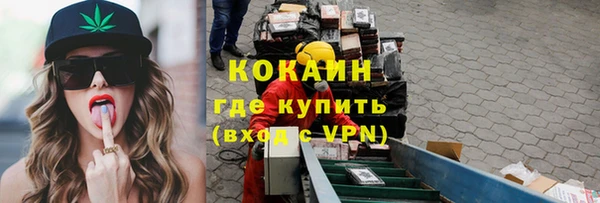 бошки Новодвинск