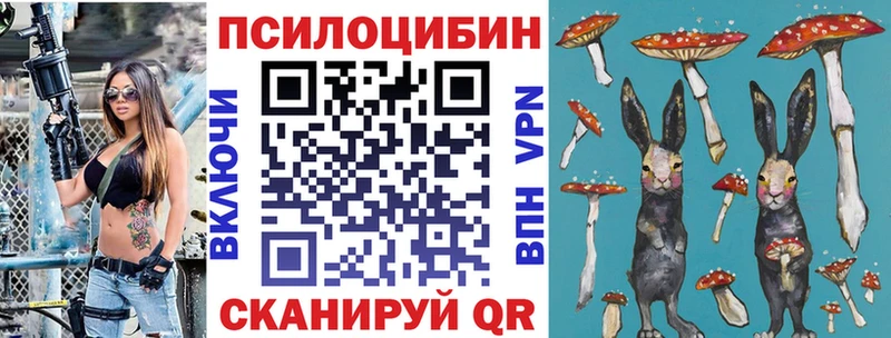 Галлюциногенные грибы Cubensis магазин продажи наркотиков Красково